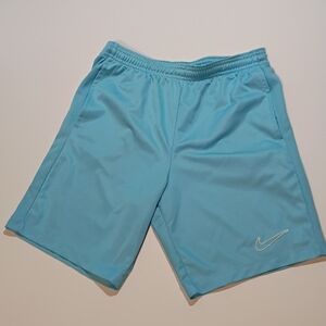 Nike Men's Blue Athletic Shorts